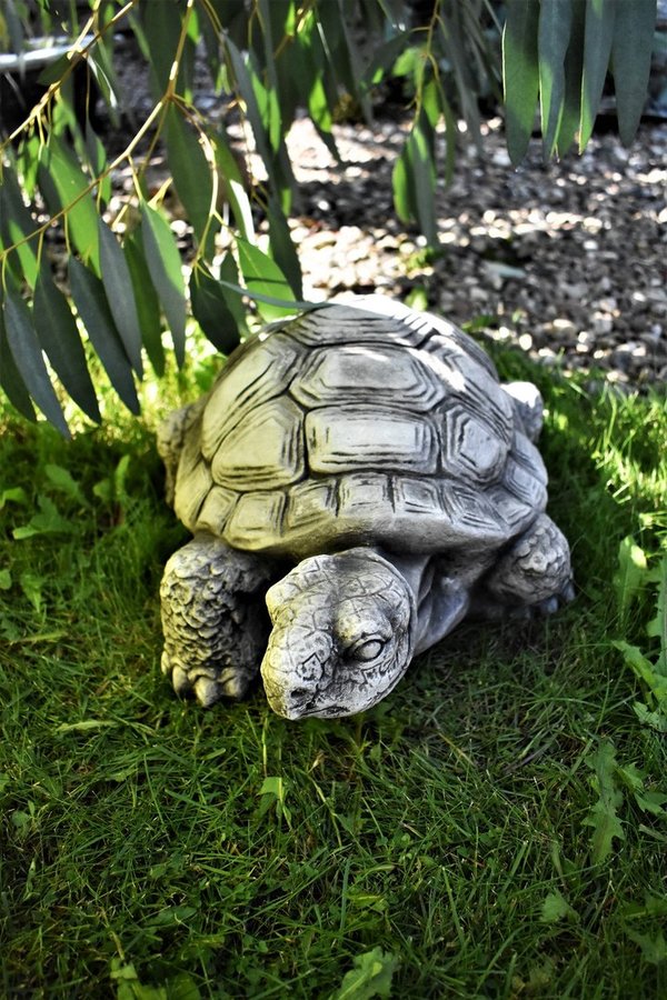 Schildkröte Dekofigur Gartenfigur